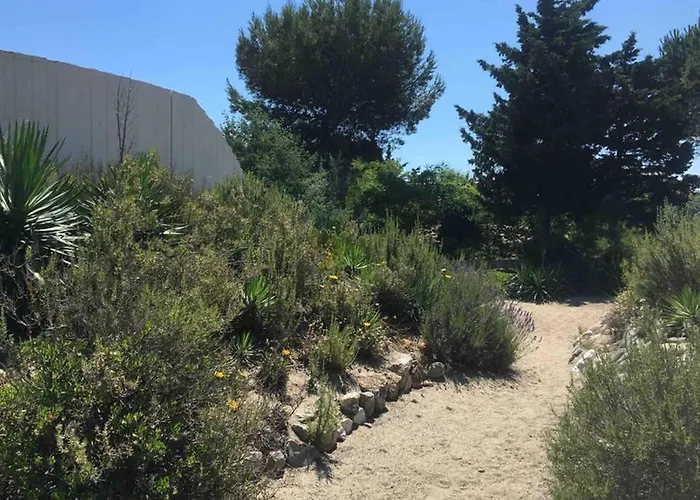 Bord De * Torreilles